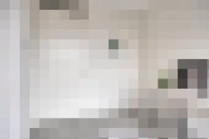 Kanseliersplein 79 's-Hertogenbosch thumbnail 33