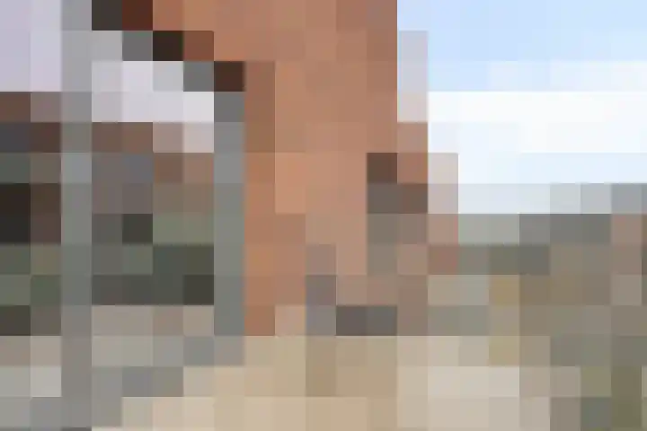 Kanseliersplein 79 's-Hertogenbosch thumbnail 39
