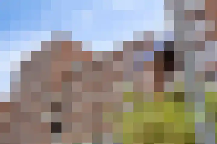 Kanseliersplein 79 's-Hertogenbosch thumbnail 4