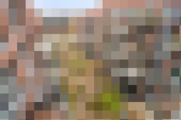 Kanseliersplein 79 's-Hertogenbosch thumbnail 40