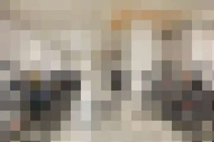 Kanseliersplein 79 's-Hertogenbosch thumbnail 46
