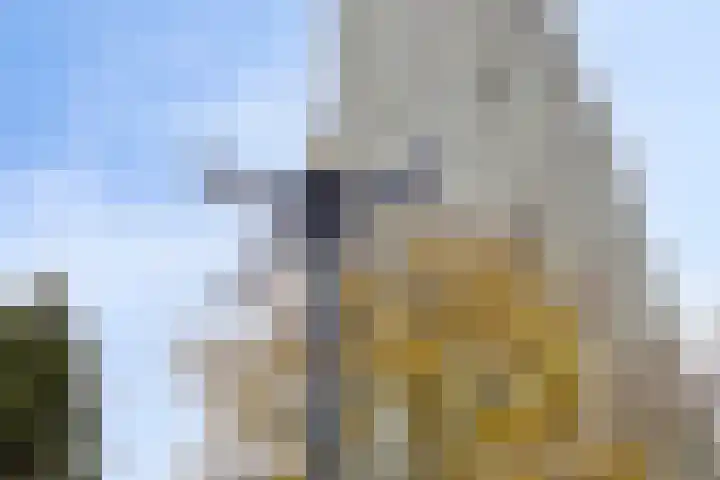 Kanseliersplein 79 's-Hertogenbosch thumbnail 48