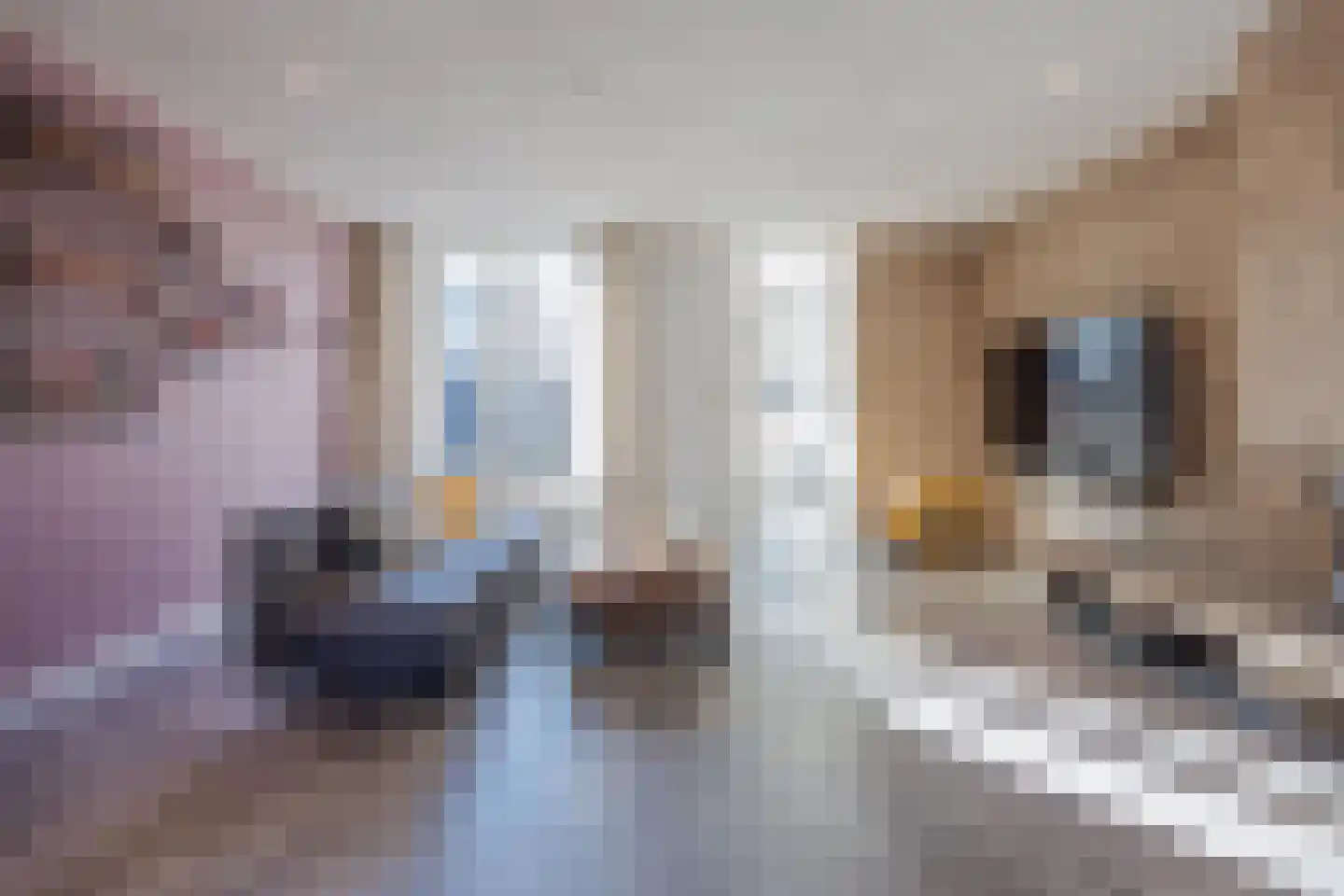 Kanseliersstraat 21 Raamsdonk thumbnail 20