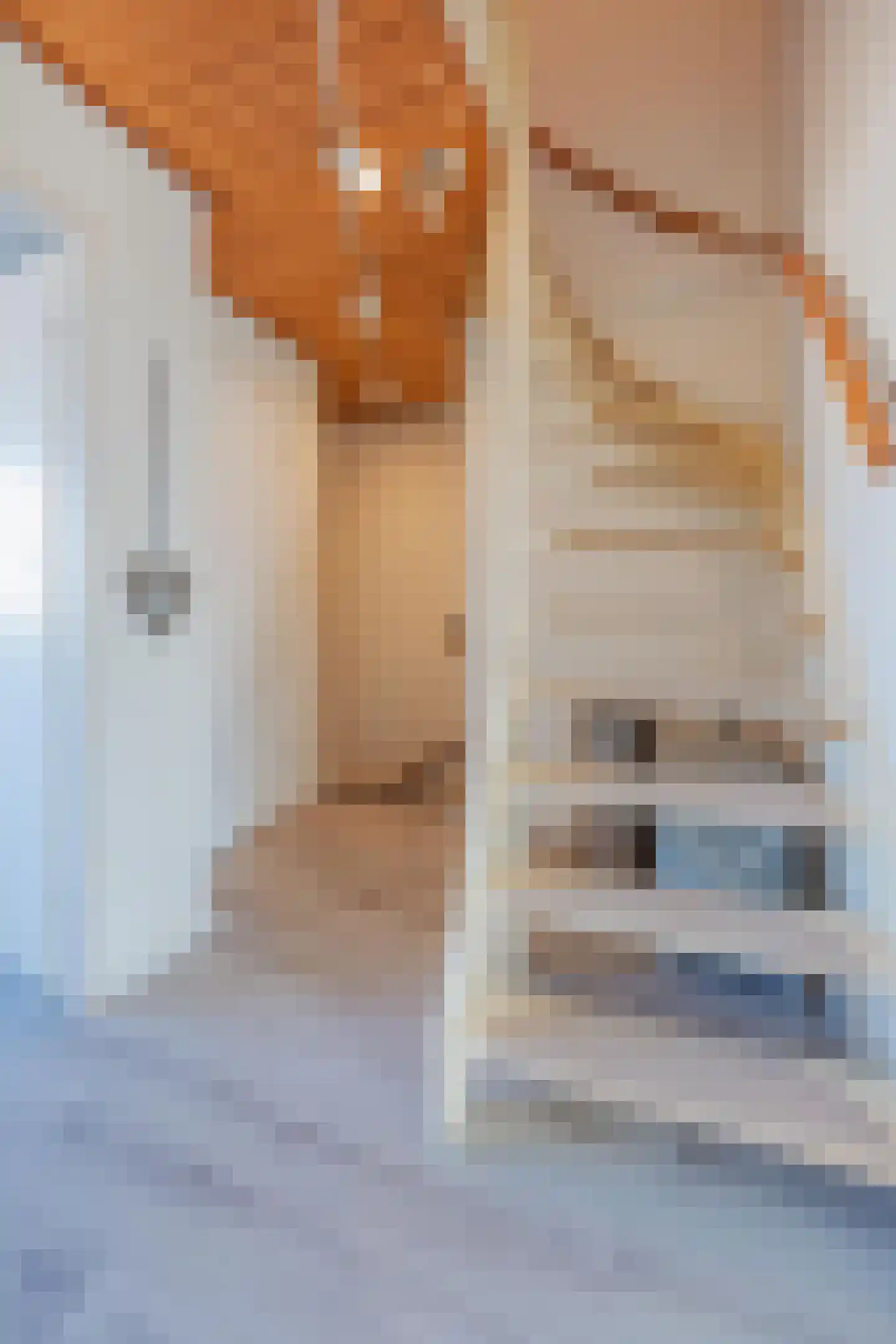 Kanseliersstraat 21 Raamsdonk thumbnail 29