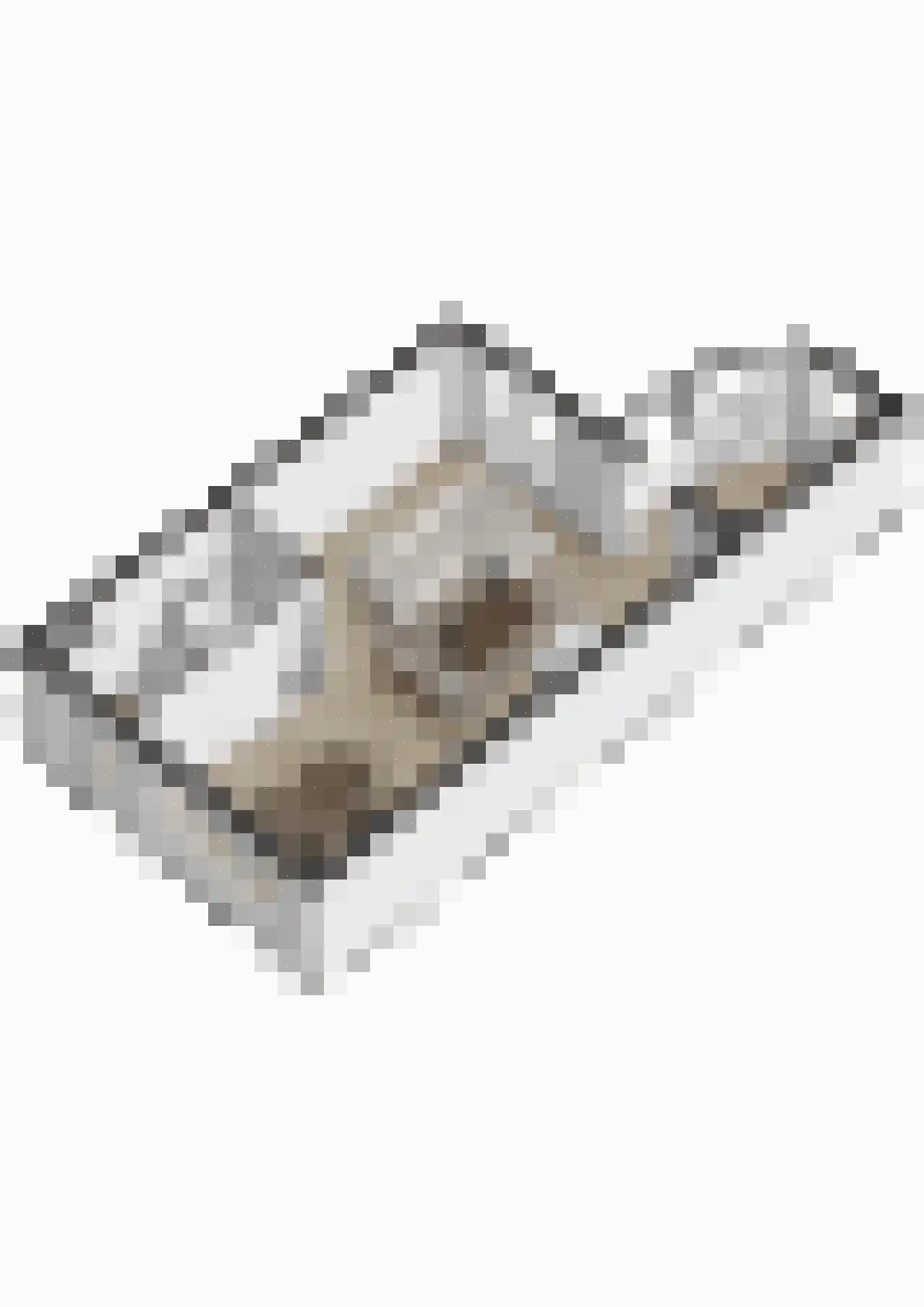 Kanseliersstraat 21 Raamsdonk thumbnail 36
