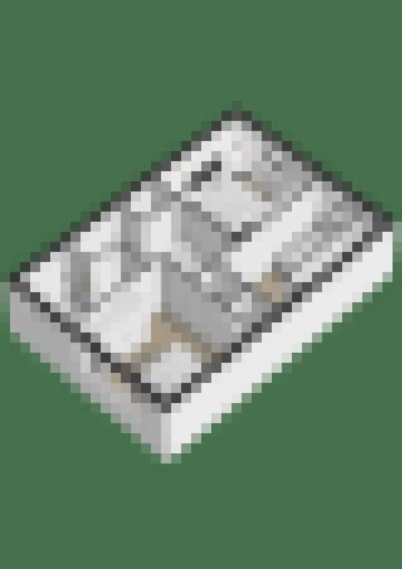 Kanseliersstraat 21 Raamsdonk thumbnail 38