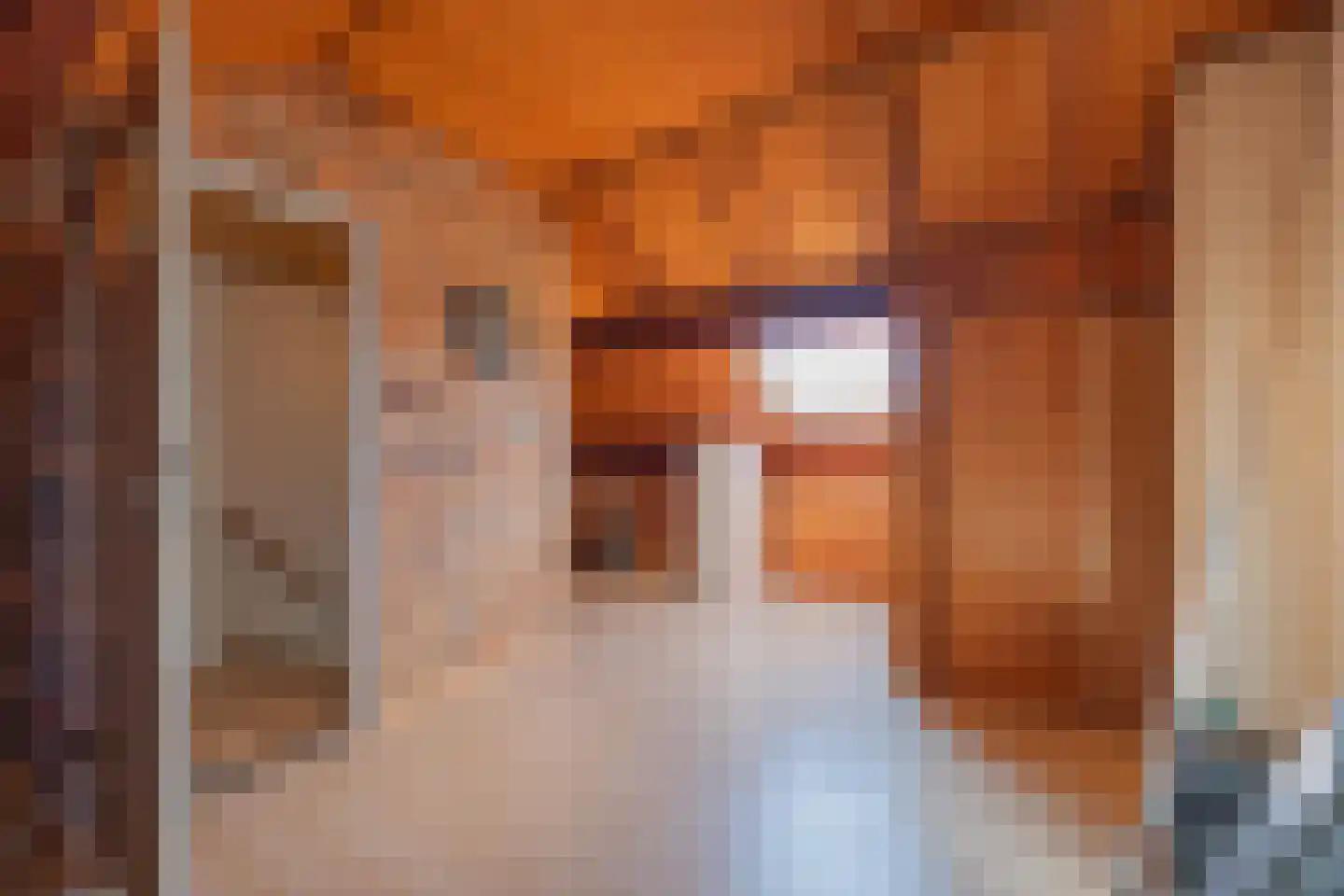 Kanseliersstraat 21 Raamsdonk thumbnail 39