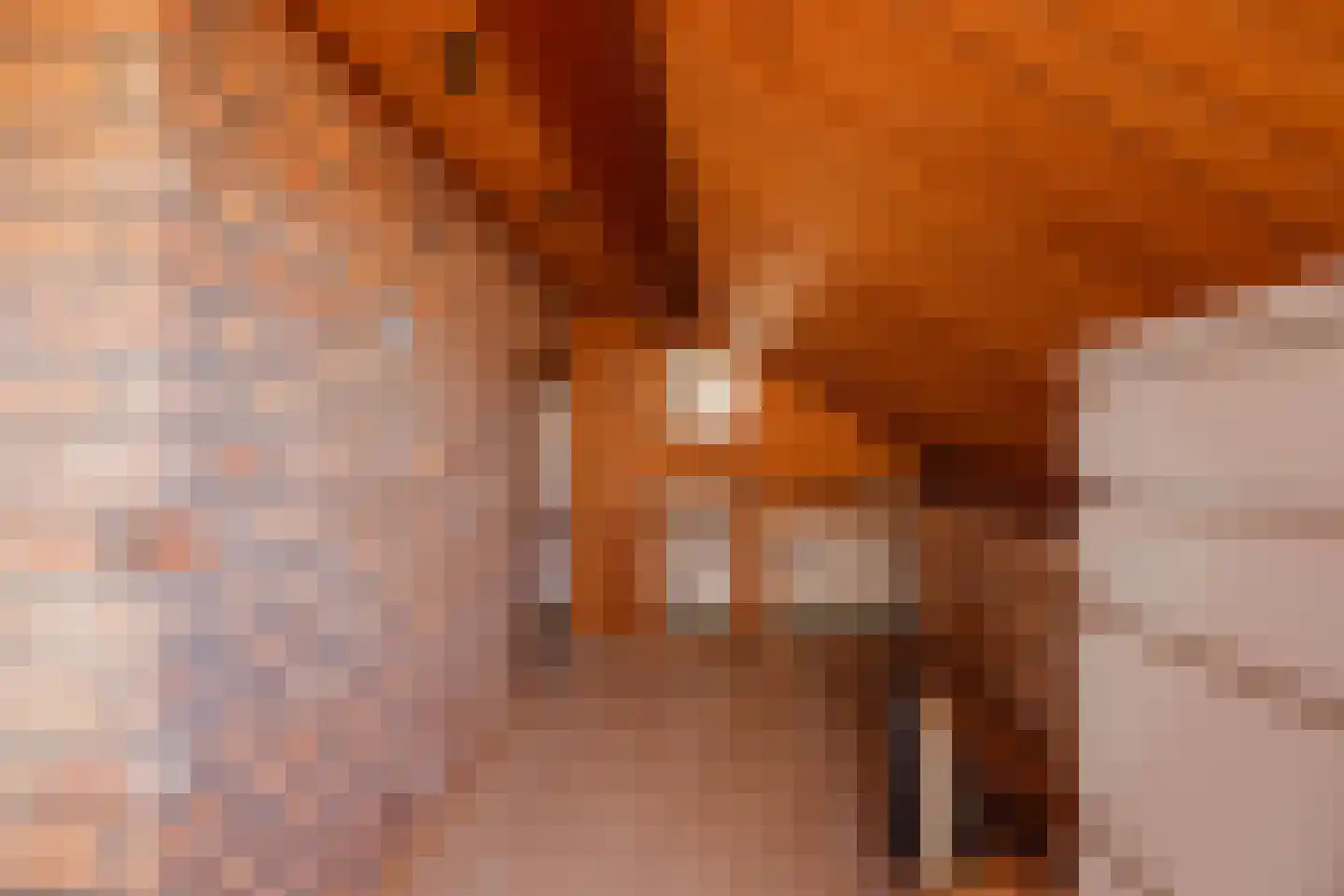 Kanseliersstraat 21 Raamsdonk thumbnail 40