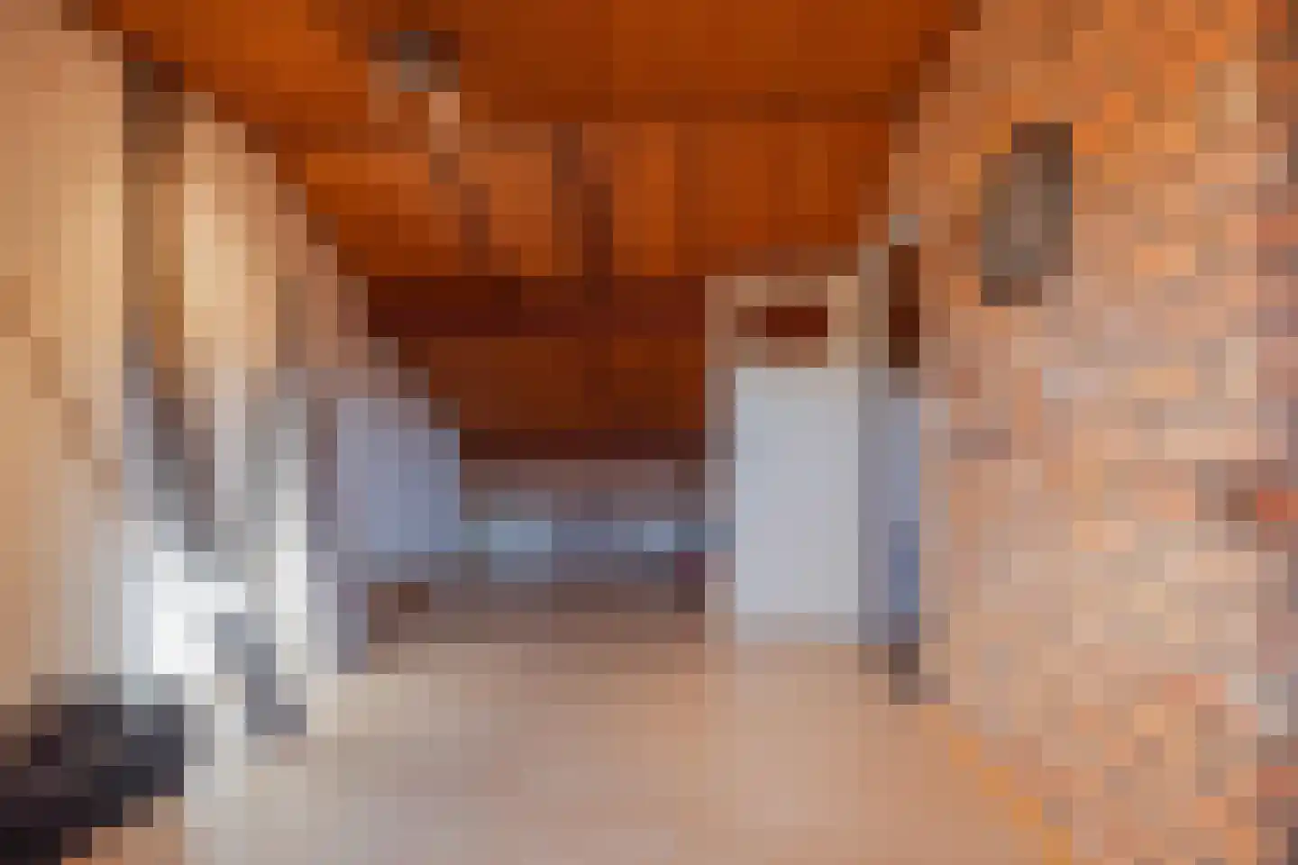 Kanseliersstraat 21 Raamsdonk thumbnail 41