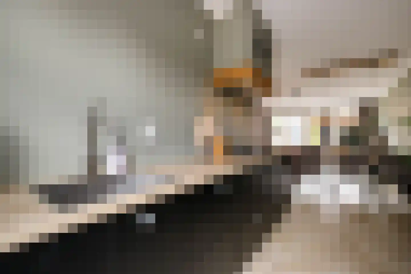 Kanselierstuin 16 Zevenhuizen thumbnail 11