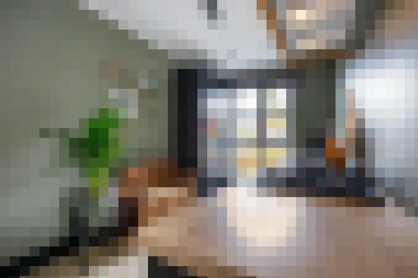 Kanselierstuin 16 Zevenhuizen thumbnail 12