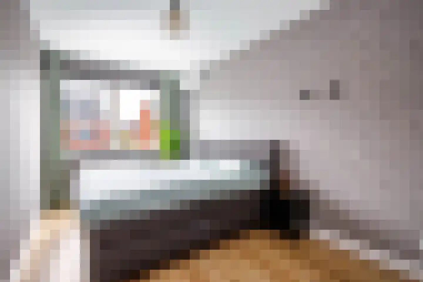 Kanselierstuin 16 Zevenhuizen thumbnail 14