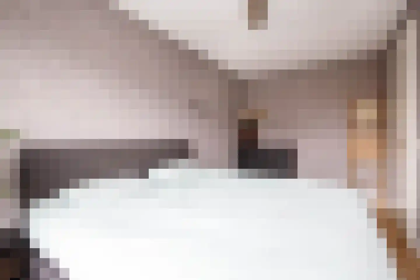 Kanselierstuin 16 Zevenhuizen thumbnail 15