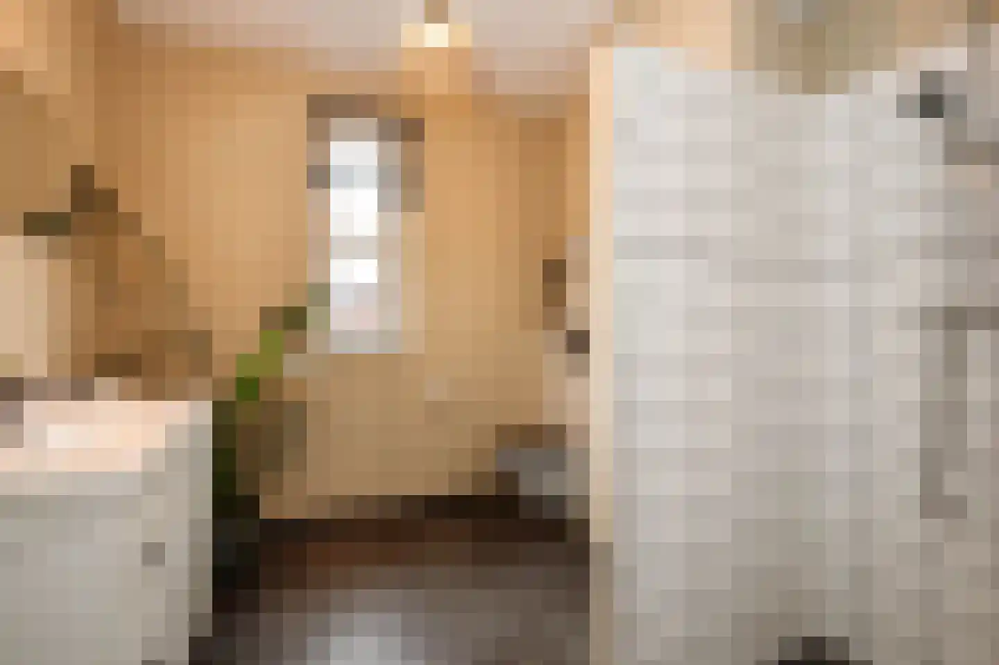 Kanselierstuin 16 Zevenhuizen thumbnail 18