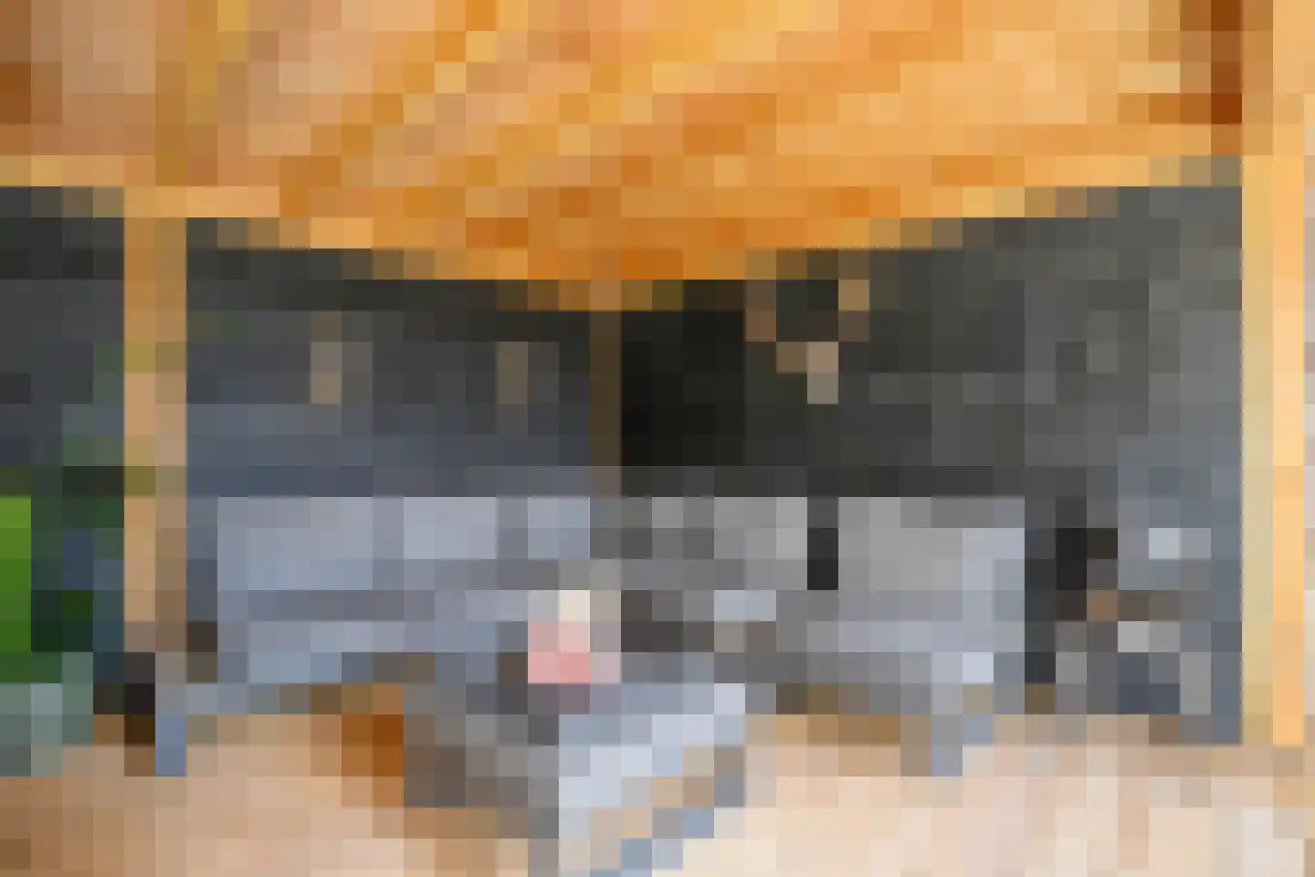 Kanselierstuin 16 Zevenhuizen thumbnail 28