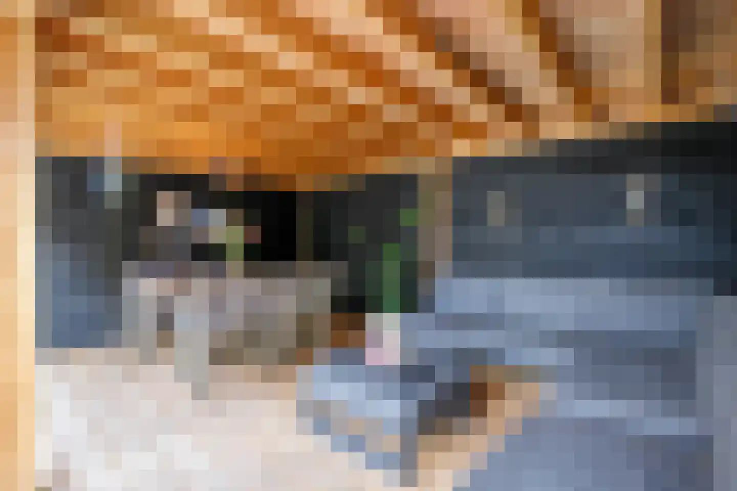 Kanselierstuin 16 Zevenhuizen thumbnail 29