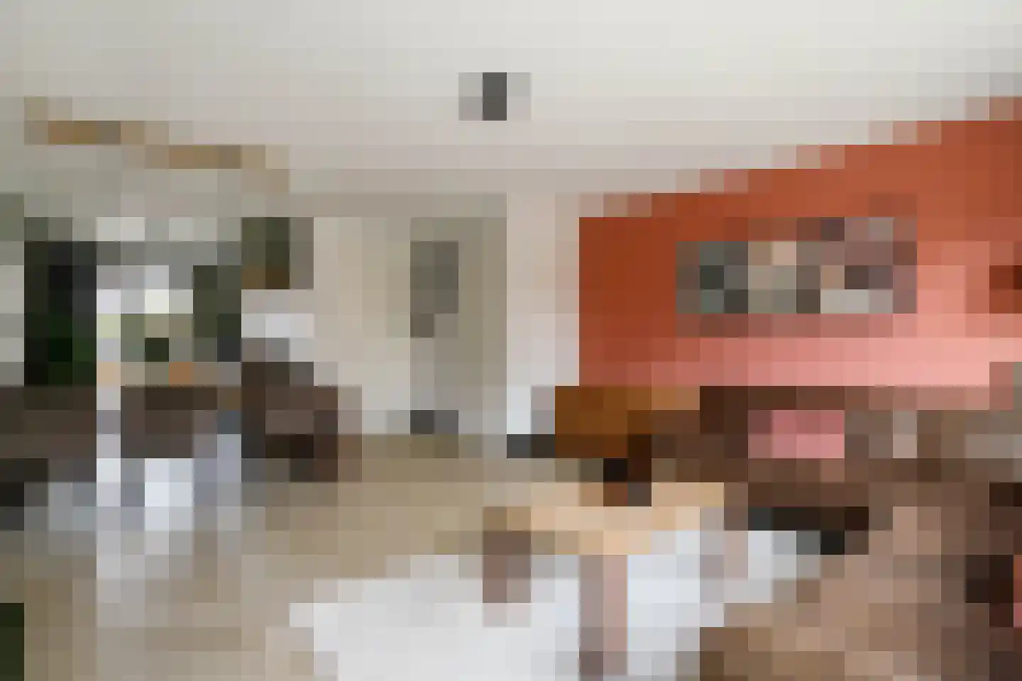 Kanselierstuin 16 Zevenhuizen thumbnail 7