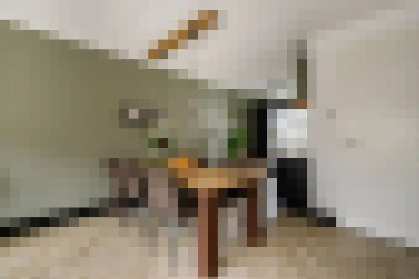 Kanselierstuin 16 Zevenhuizen thumbnail 8