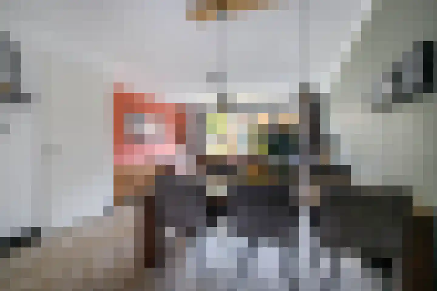 Kanselierstuin 16 Zevenhuizen thumbnail 9