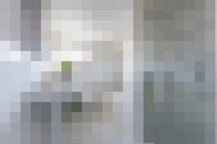 Kant 30 Kerkrade thumbnail 22