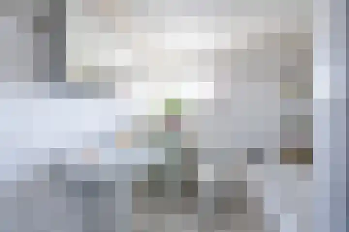 Kant 30 Kerkrade thumbnail 23