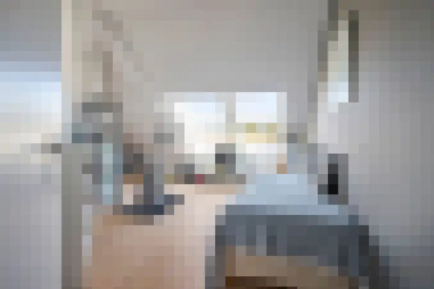 Kantbeugel 1 B De Goorn thumbnail 36