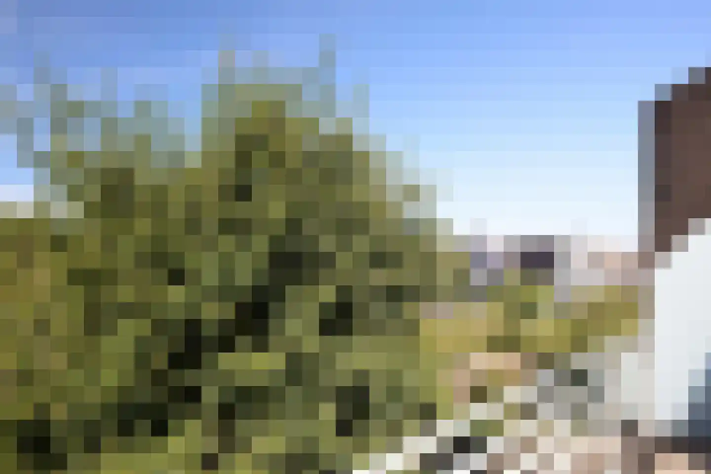 Kantbeugel 1 B De Goorn thumbnail 43