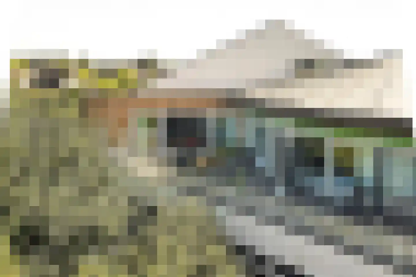 Kantbeugel 1 B De Goorn thumbnail 44