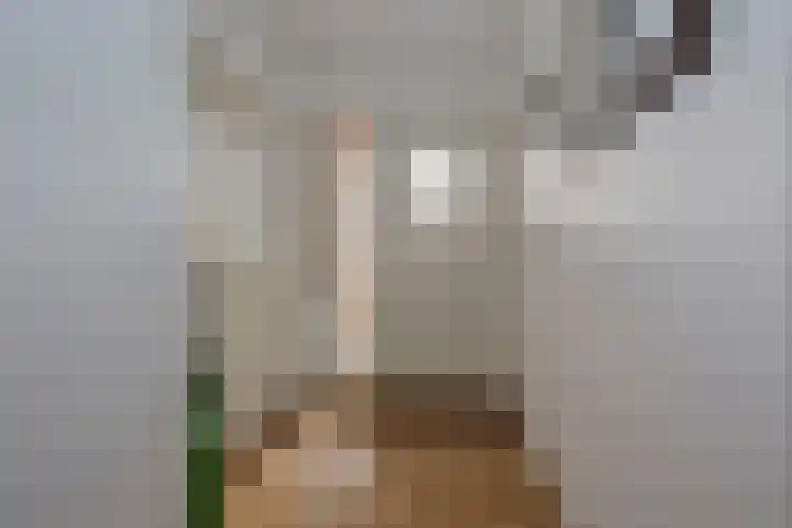 Kantbeugel 115 De Goorn thumbnail 10