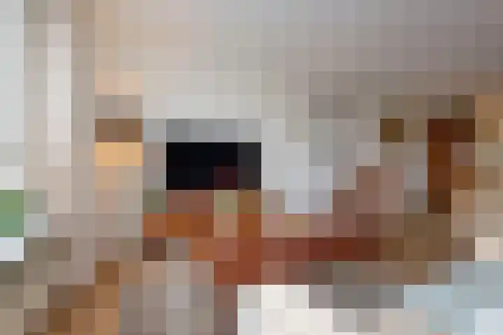 Kantbeugel 115 De Goorn thumbnail 18