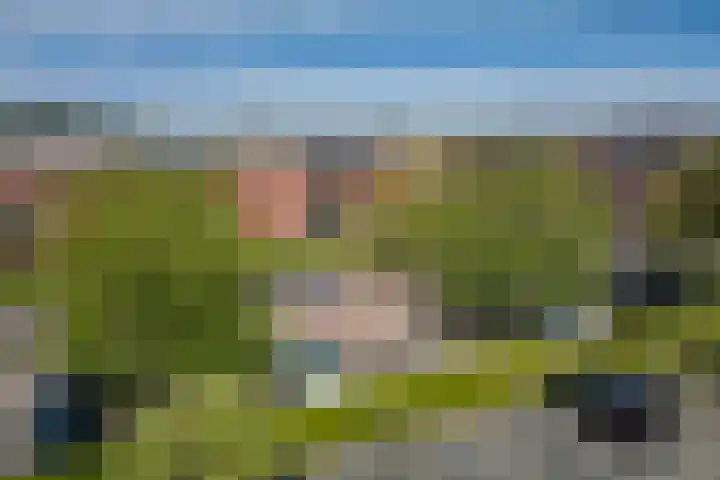 Kantbeugel 115 De Goorn thumbnail 43