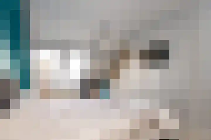 Kantbeugel 24 De Goorn thumbnail 20