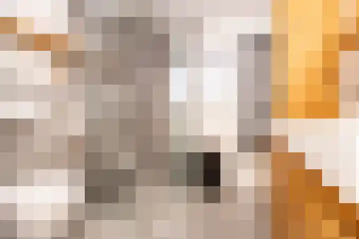 Kantbeugel 24 De Goorn thumbnail 24