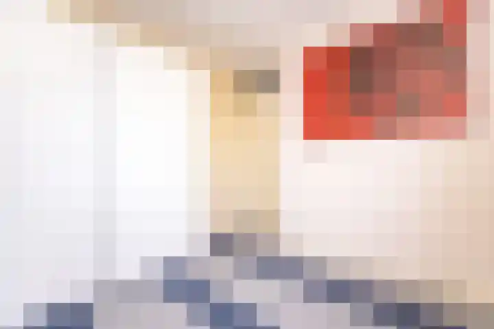 Kantbeugel 24 De Goorn thumbnail 28
