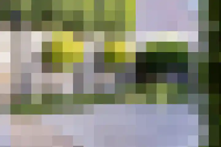 Kantbeugel 24 De Goorn thumbnail 32