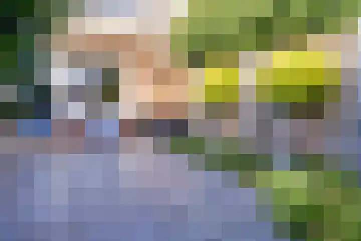 Kantbeugel 24 De Goorn thumbnail 35