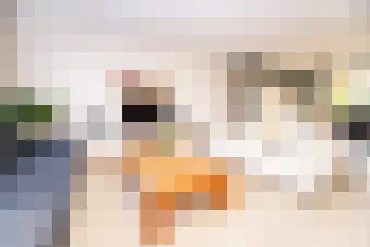 Kantbeugel 24 De Goorn thumbnail 5