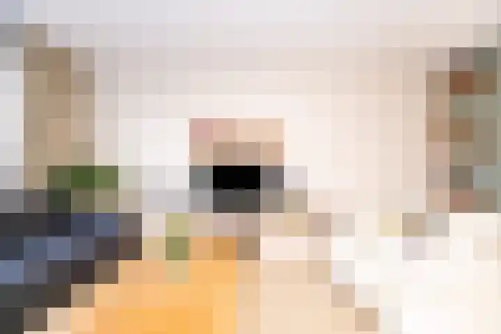 Kantbeugel 24 De Goorn thumbnail 6