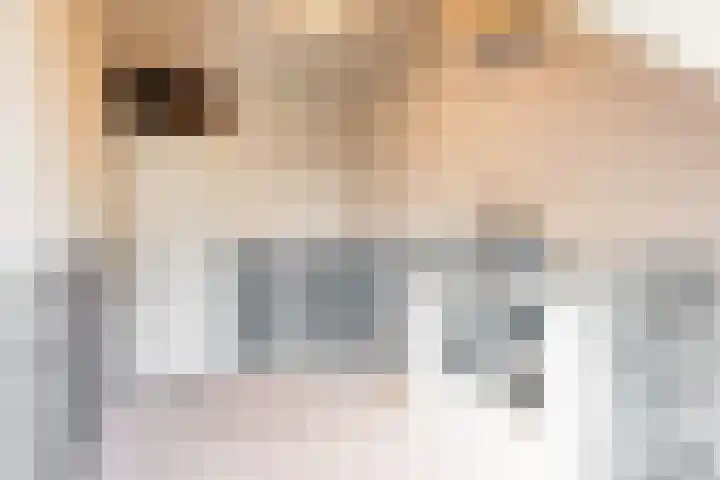 Kantbeugel 26 De Goorn thumbnail 17