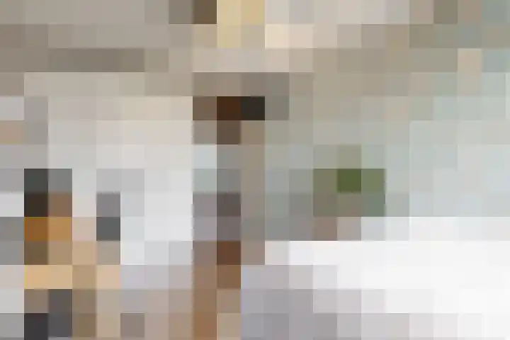 Kantbeugel 26 De Goorn thumbnail 19