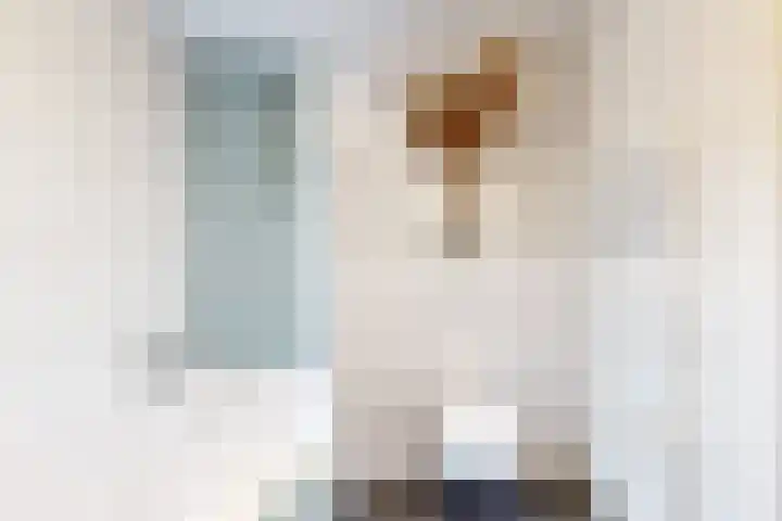 Kantbeugel 26 De Goorn thumbnail 21