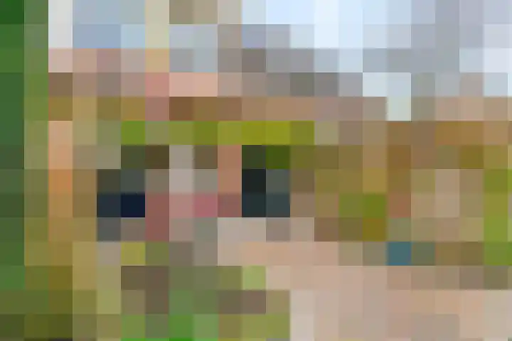 Kantbeugel 26 De Goorn thumbnail 30