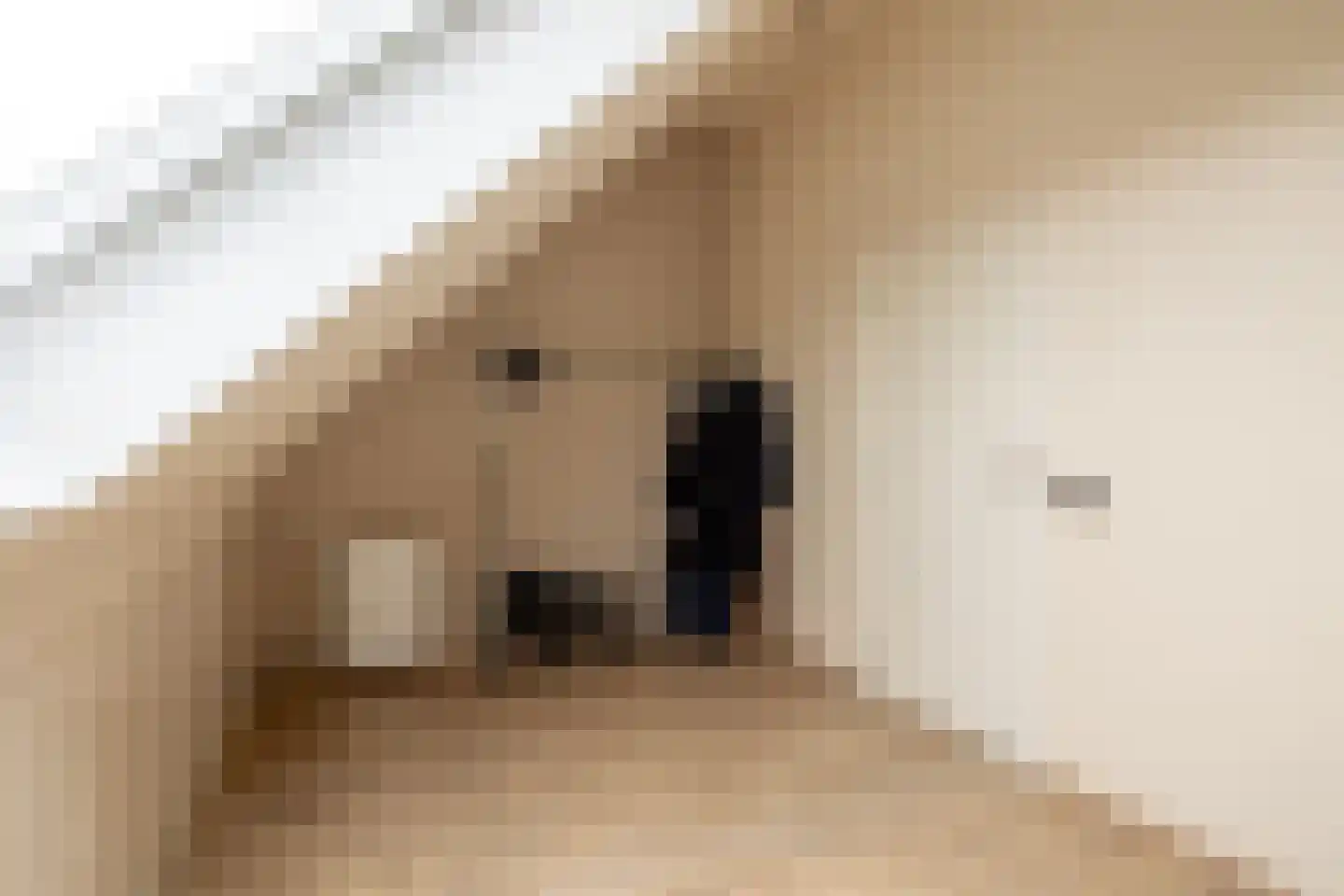 Kantbeugel 44 De Goorn thumbnail 37