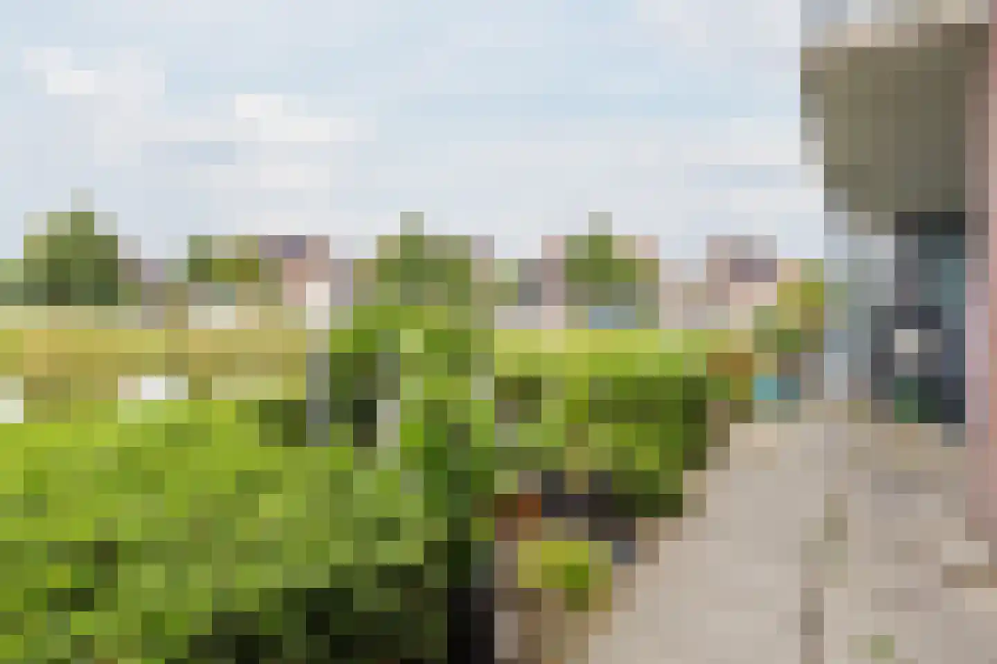 Kantbeugel 55 De Goorn thumbnail 30