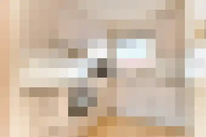 Kantbeugel 65 De Goorn thumbnail 10
