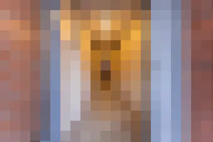Kantbeugel 65 De Goorn thumbnail 20