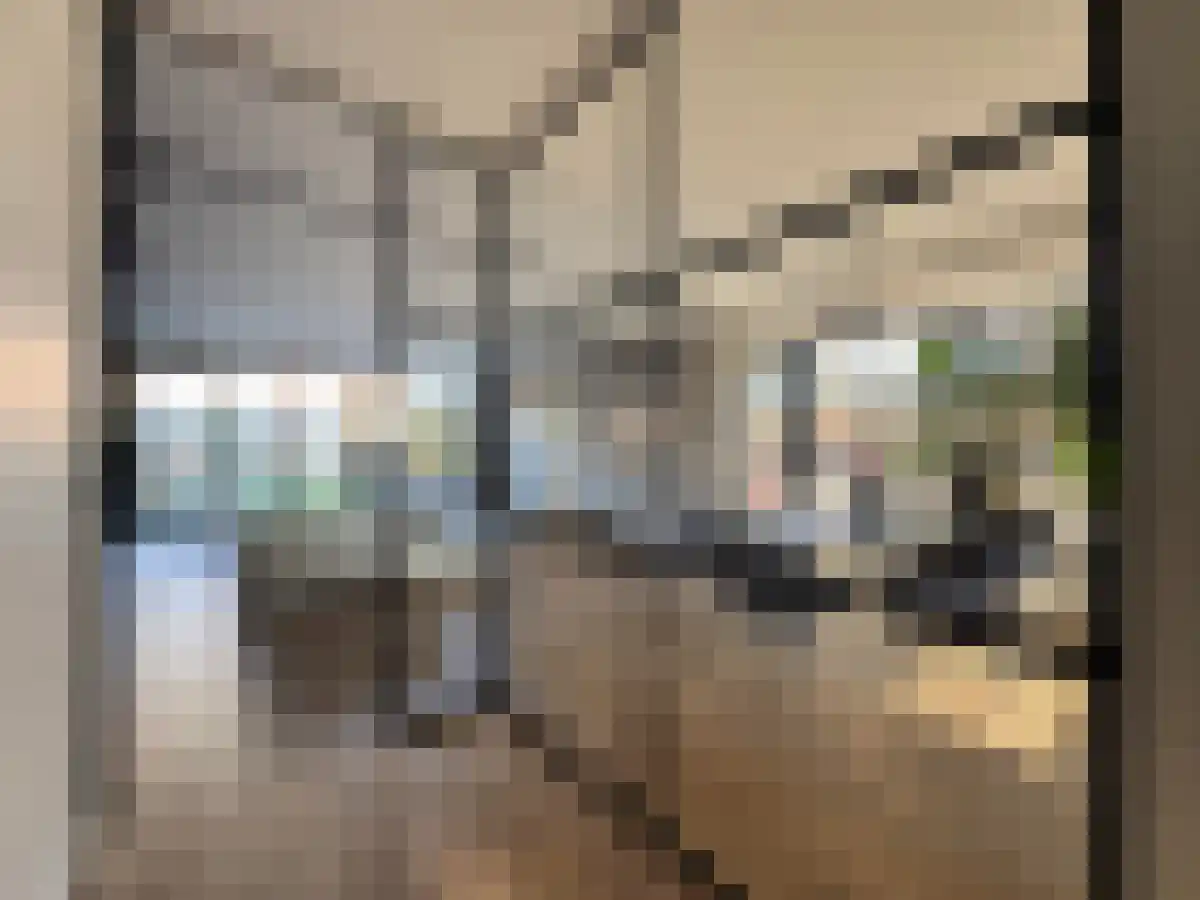 Kantbloemsingel 11 Vleuten thumbnail 5