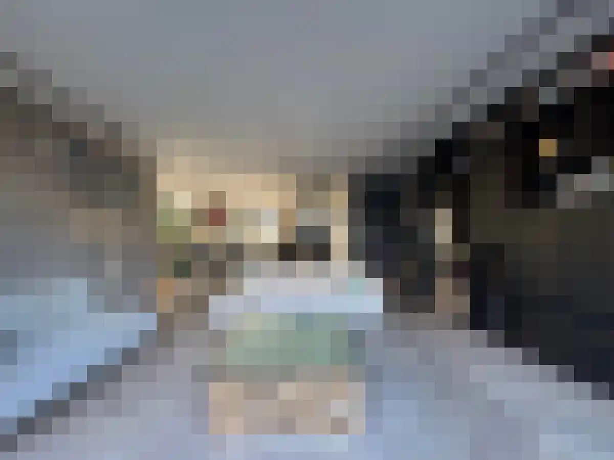 Kantbloemsingel 11 Vleuten thumbnail 6