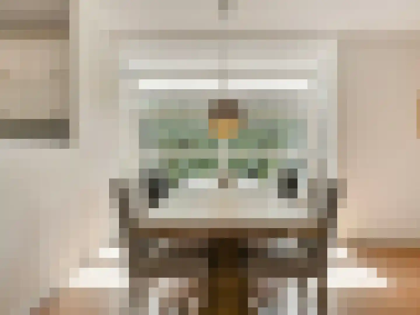 Kantbloemsingel 27 Vleuten thumbnail 13