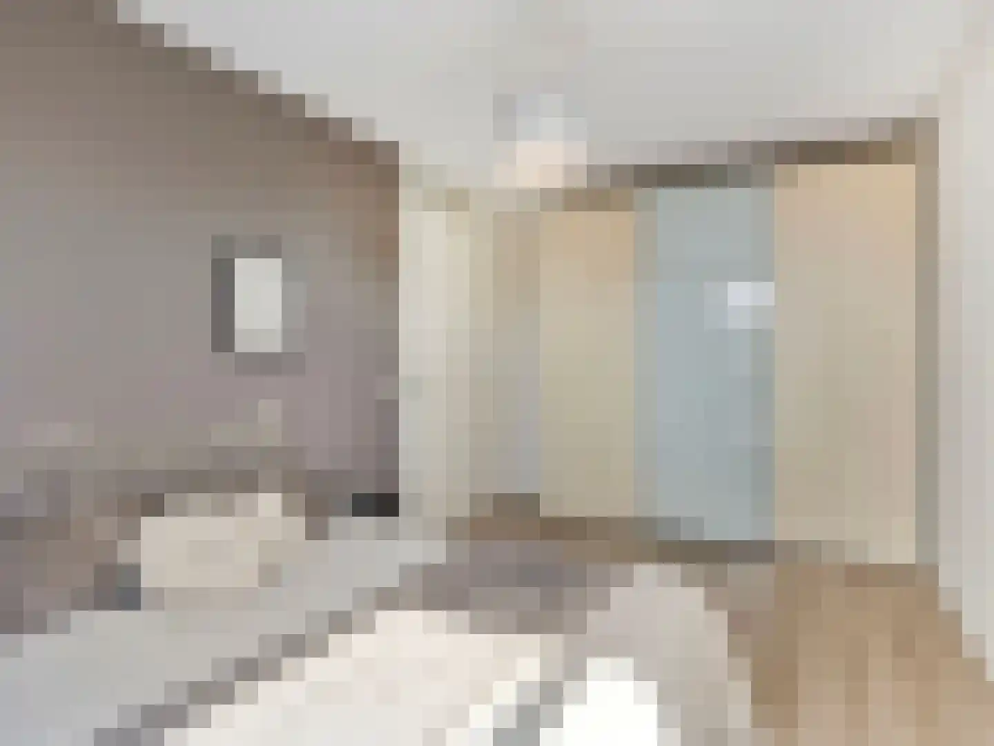 Kantbloemsingel 27 Vleuten thumbnail 28